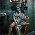 baaghi-4-box-office-collection