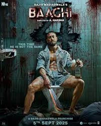 baaghi-4-box-office-collection