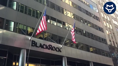 FIIs near historical lows: Jio BlackRock flags potential contrarian setup for Indian equities 1 Jio BlackRock flags potential contrarian